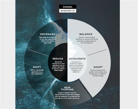 chanel sustainability plan